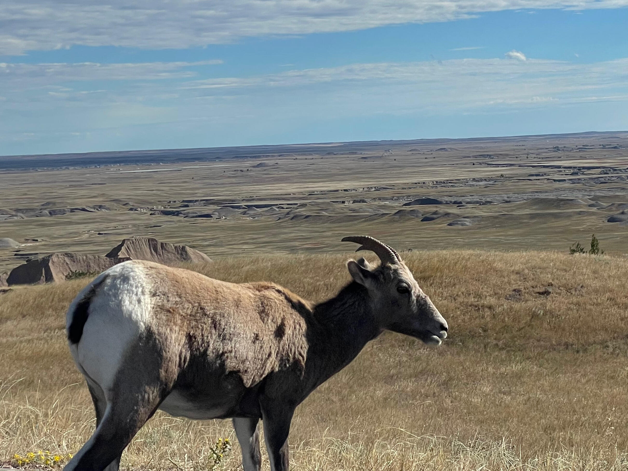 Badlands Badlands