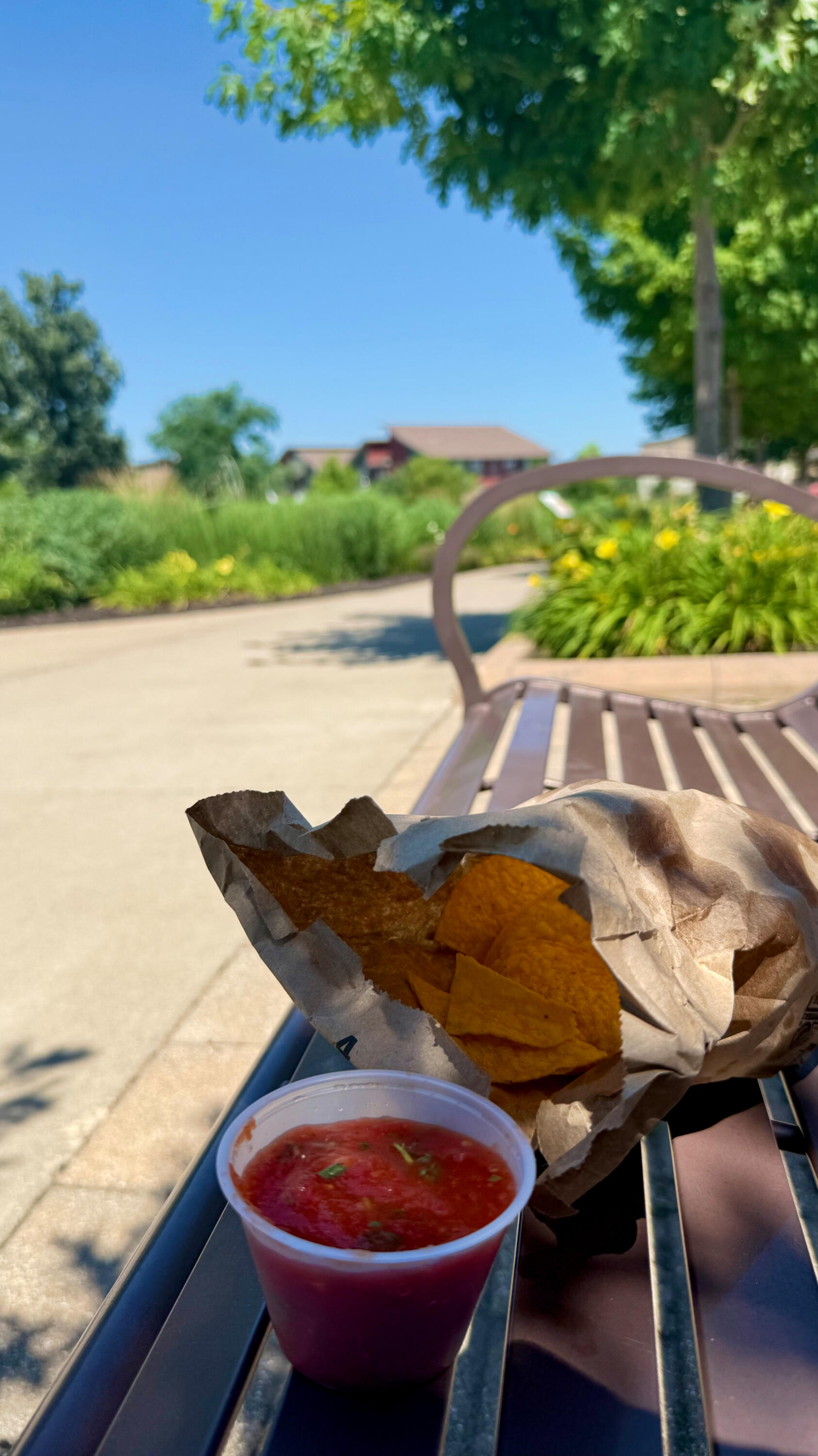 Chips and salsa Chips and salsa